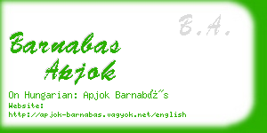 barnabas apjok business card